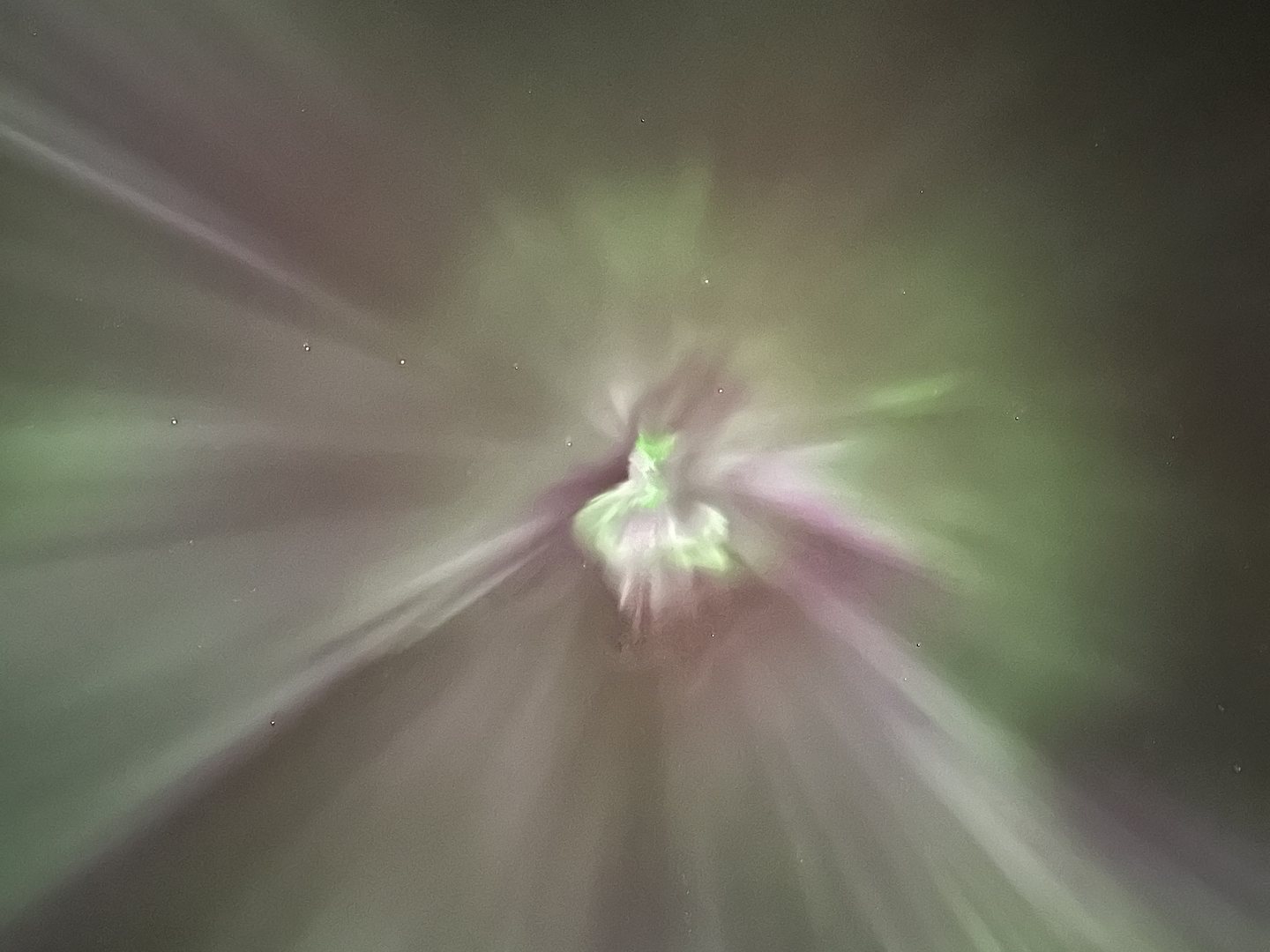 Foto de uma corona de aurora feita pelo cofundador da SOLSTEIN